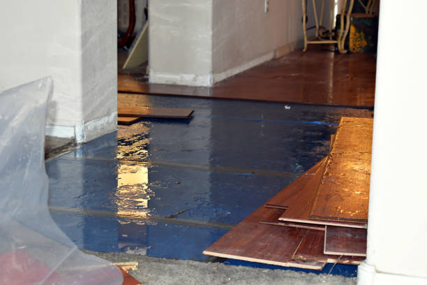 Professional Water Damage Restoration technician working in Purvis, MS